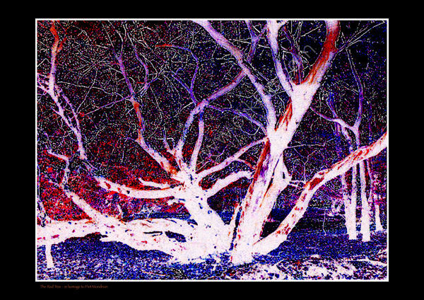 The Red Tree - homage to Piet Mondrian. Limited Edition Print.